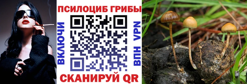 Псилоцибиновые грибы Psilocybe  Сибай 